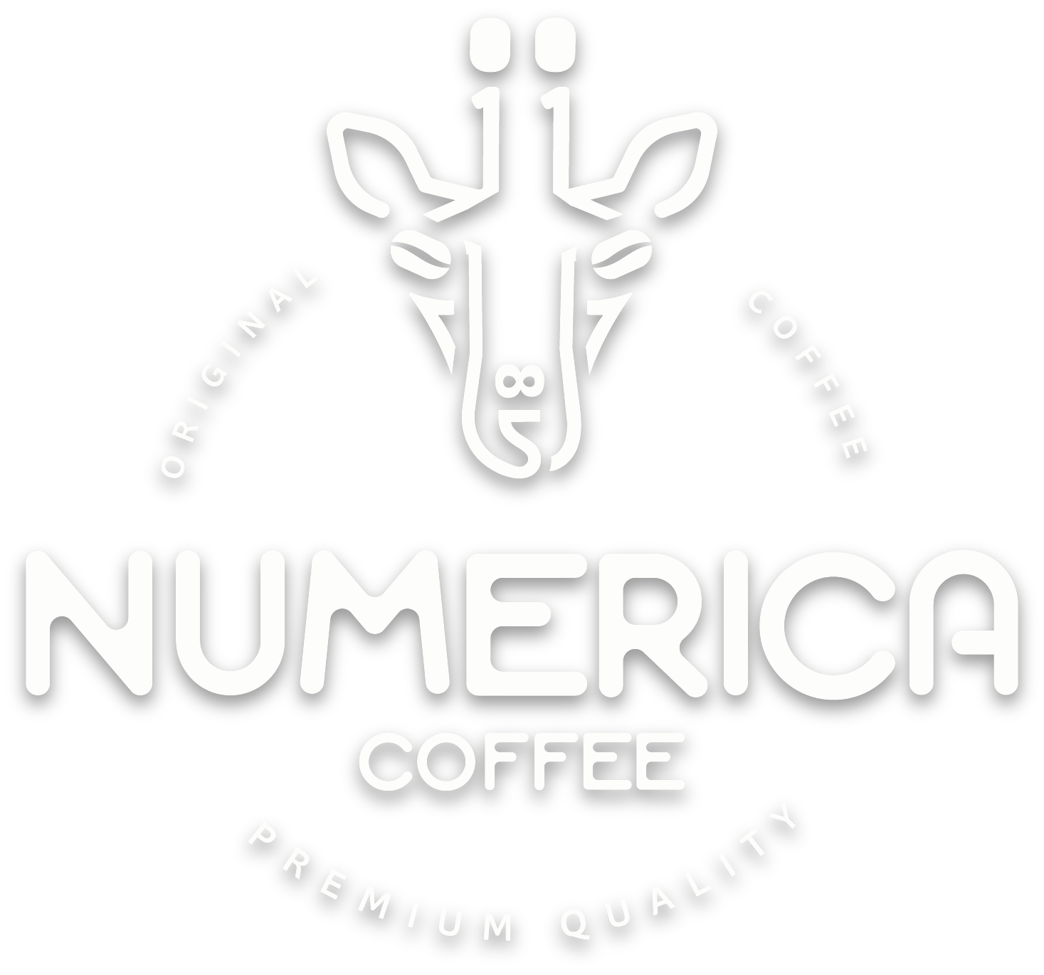 Numerica Logo